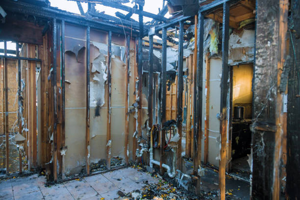 Professional Fire Damage Removal technician working in Englishtown, NJ